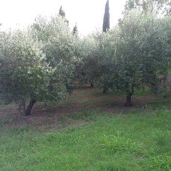 Soncne Terase Piran