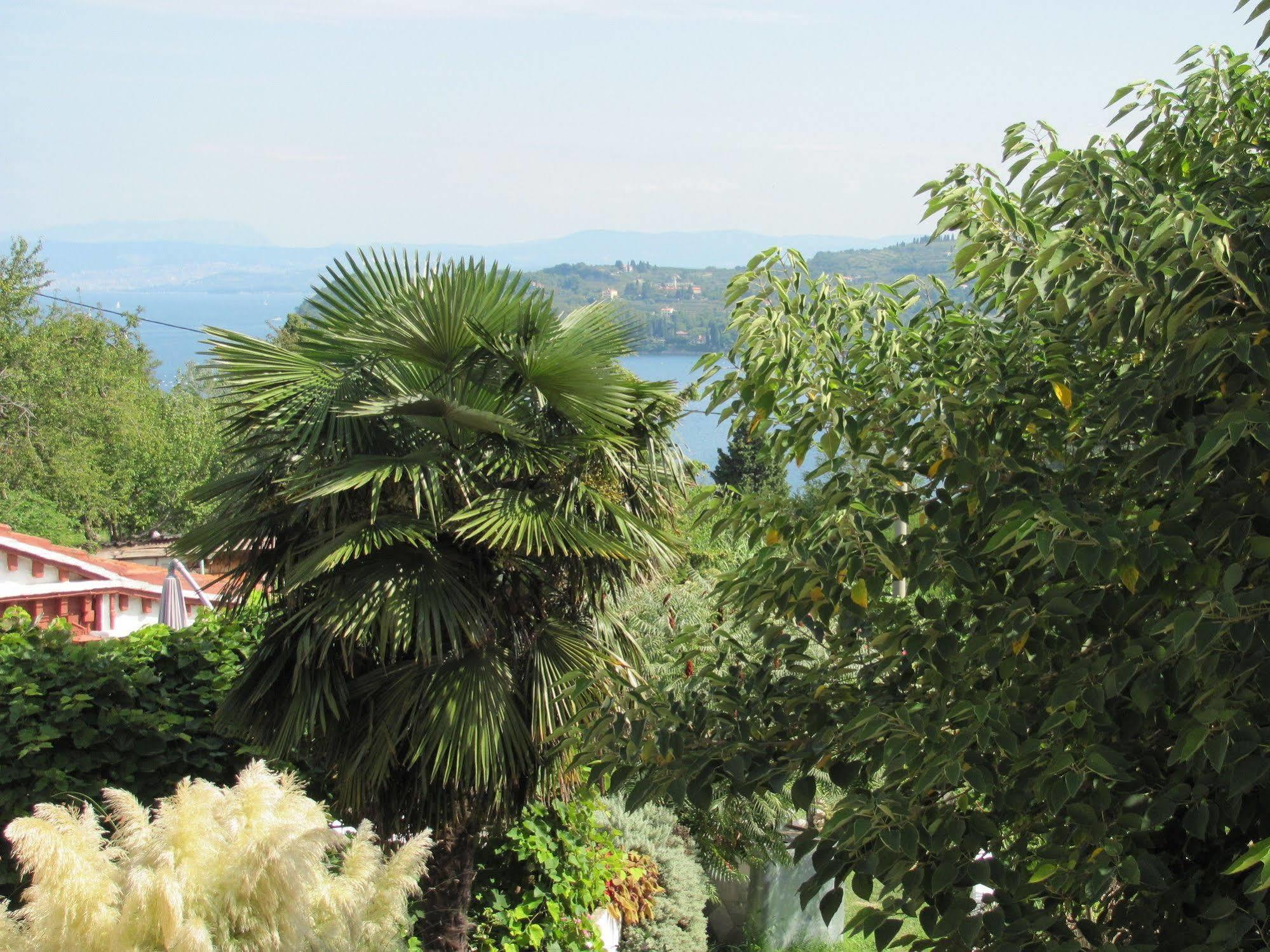 Soncne Terase Apartman *