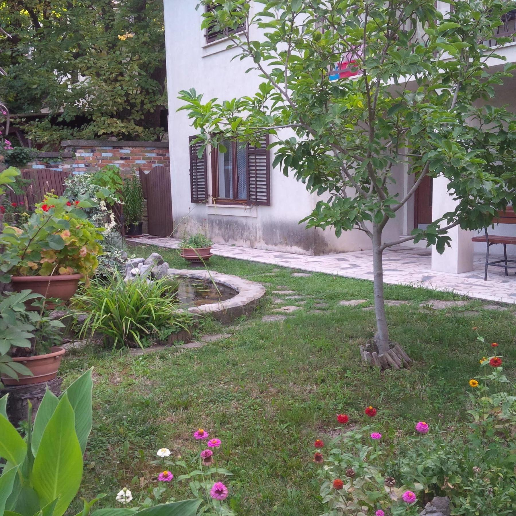 Apartment Soncne Terase